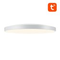 Inteligentna lampa sufitowa 32cm WiFi/Bluetooth 16M RGBCW Gosund LB11 1920lm Tuya + Pilot