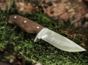 Magnum Walnut Drop Nóż stały 22,7 cm, stal 440A, drewno orzechowe