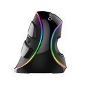 Przewodowa mysz pionowa Delux M618Plus 4000DPI RGB