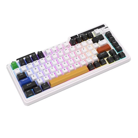 Bezprzewodowa klawiatura mechaniczna Royal Kludge KZZI K75 pro RGB, Eternity Switch (czarno-biała) (QWERTY)
