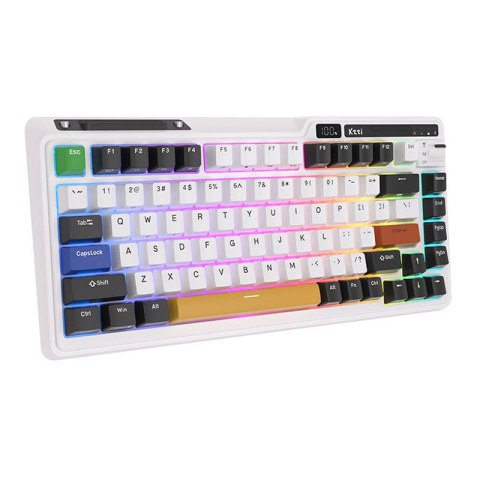 Bezprzewodowa klawiatura mechaniczna Royal Kludge KZZI K75 pro RGB, Eternity Switch (czarno-biała) (QWERTY)