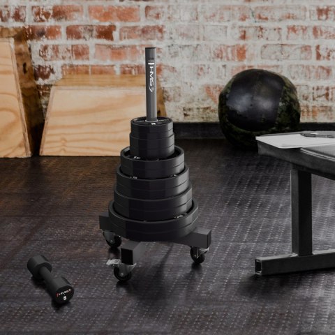 TPC SET ZESTAW TALERZY OLIMPIJSKICH POLIURETANOWYCH 2 x 2.5 - 25 KG CPU - 155KG HMS